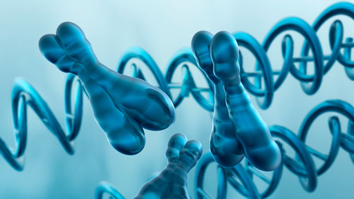 EXPLORING GENETICS AND DISEASE