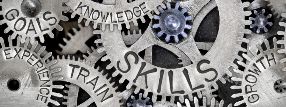 Personal development in professional roles