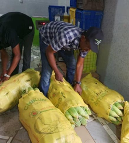 UGM Researchers Take Key Roles in UN-Funded HARVIST Project